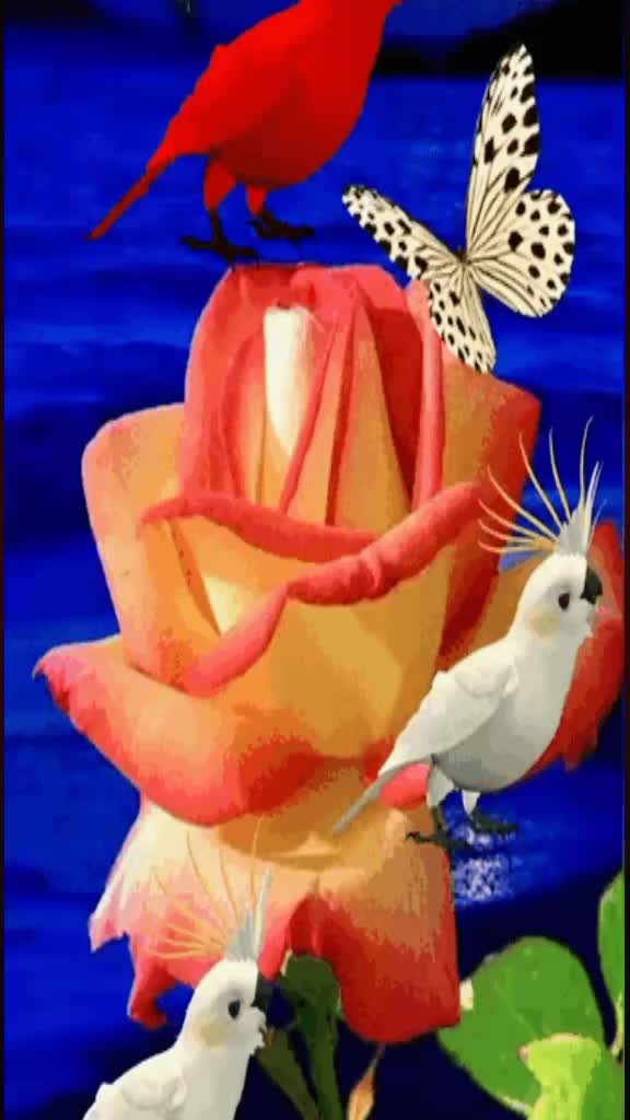 @shehbazali7700