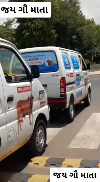 @ગાય નું ગોવાડ