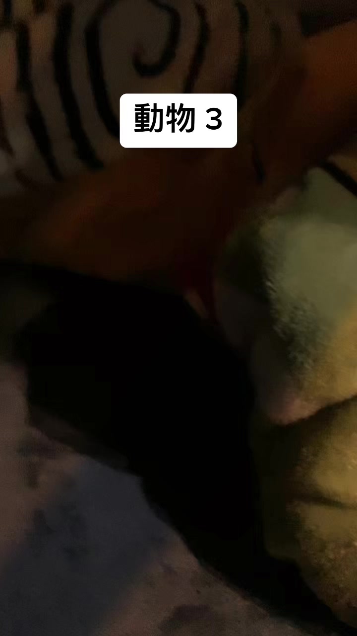 @linglai777777