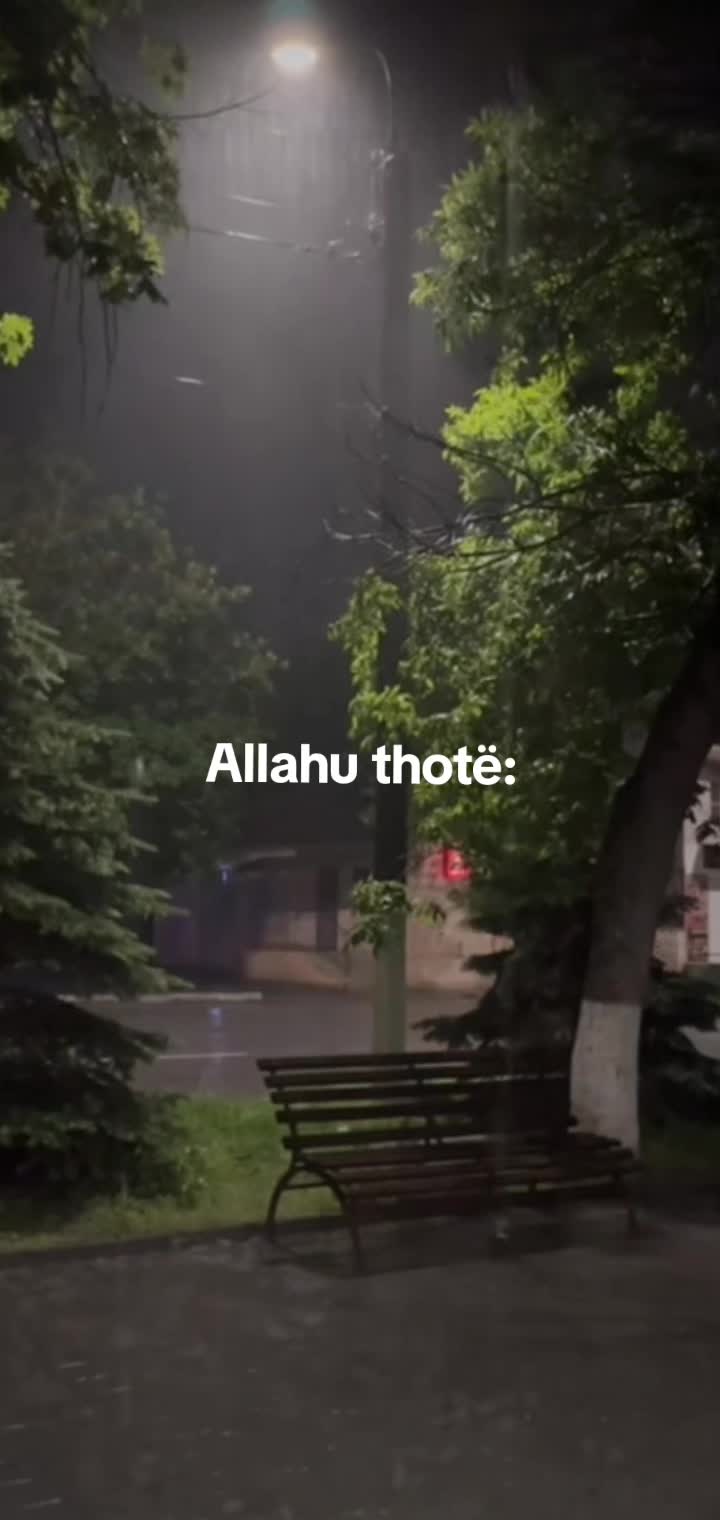 @🤍