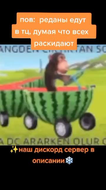 @⭐❄️лучший мемодел СНГ❄️✨