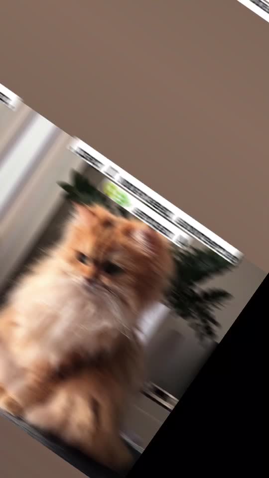 @☕️𝓫 𝓾 𝓷 𝓷 𝔂🦔