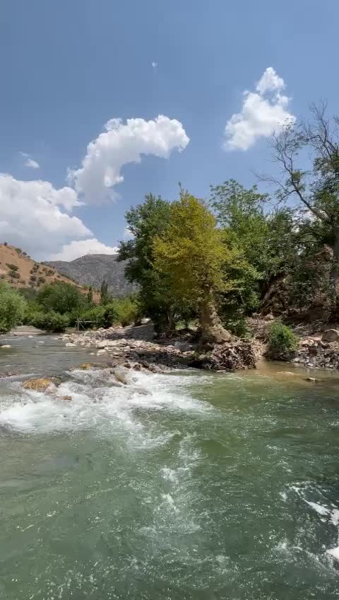 @_𝐬𝐞𝐯𝐠𝐢𝐢
