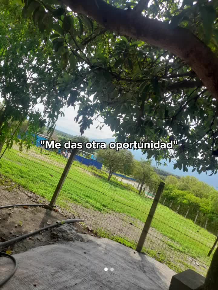 @Jaqueline