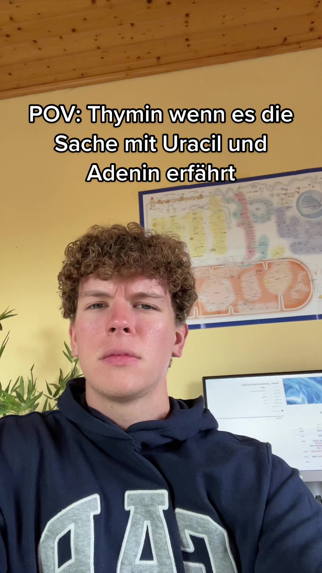 @maxenglisch