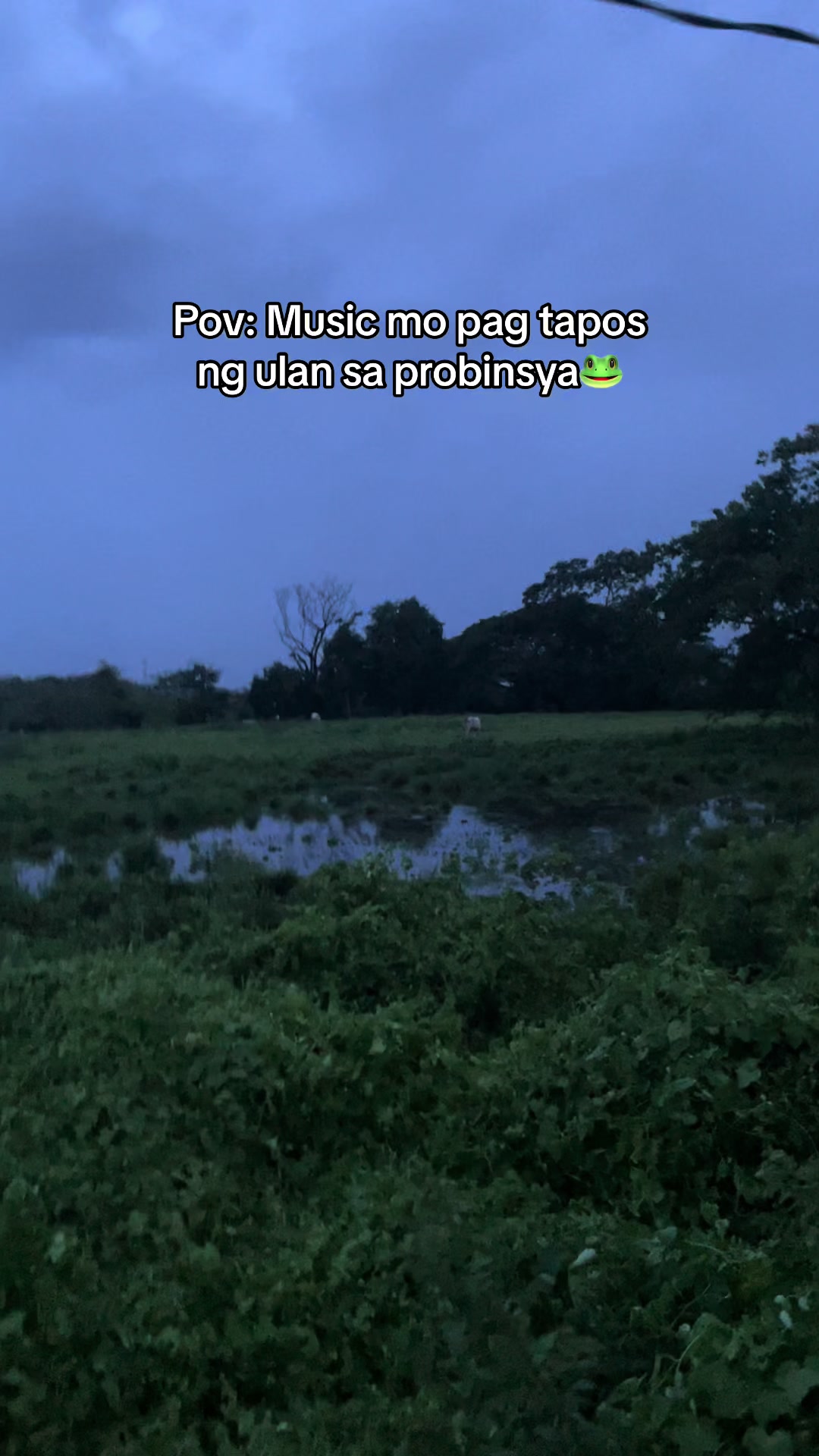@Peejay🇦🇪🇵🇭