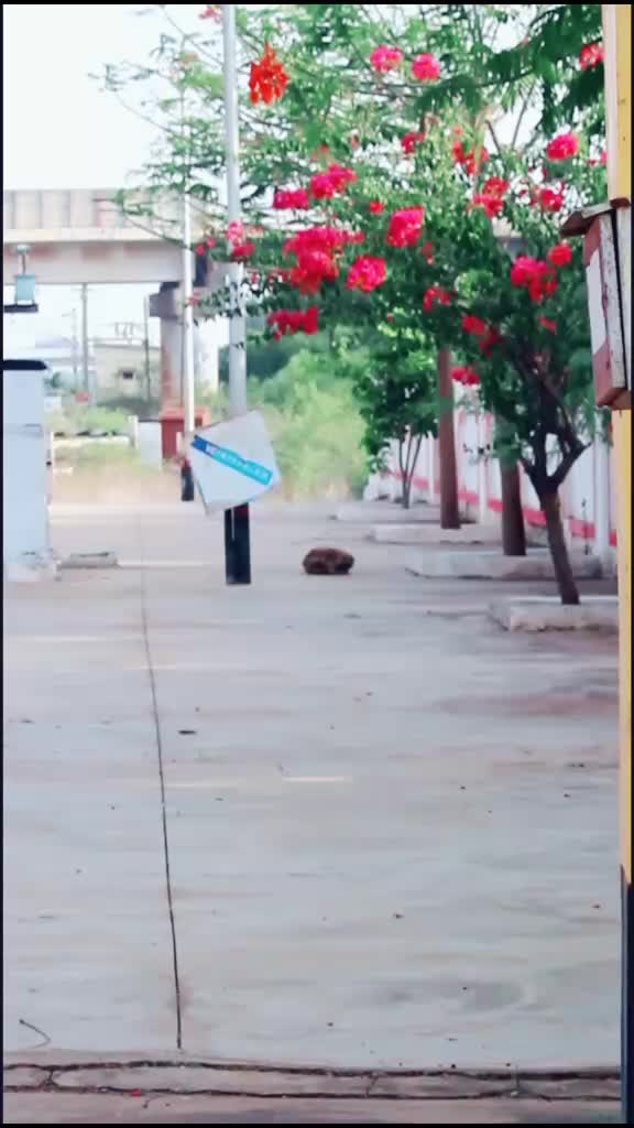 @🌟çhintû😎