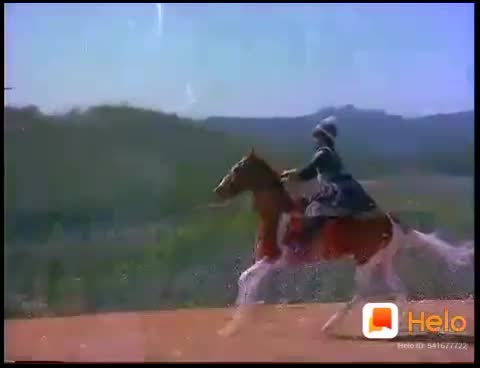 @charusundari🌹🕊