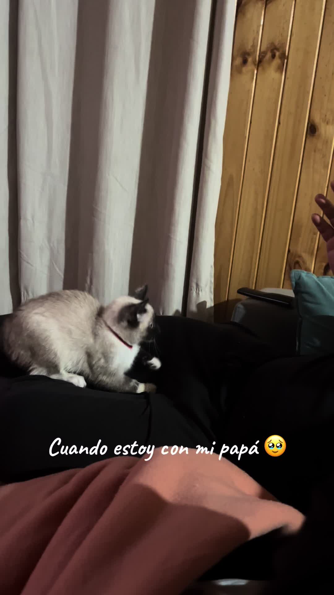 @Fr&agrave;&agrave;n Riquelme