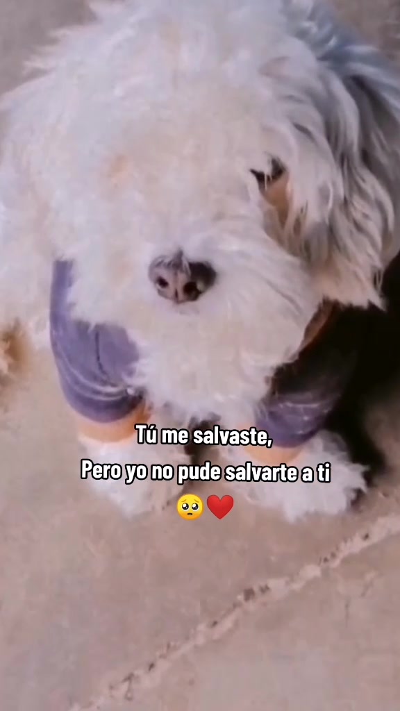 @Aranza Cruz ledezma