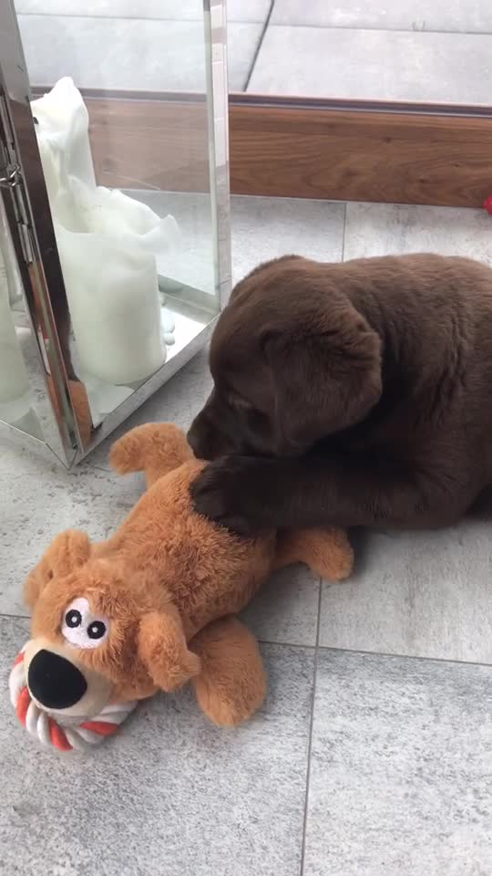 @MoccaChocoalateLab