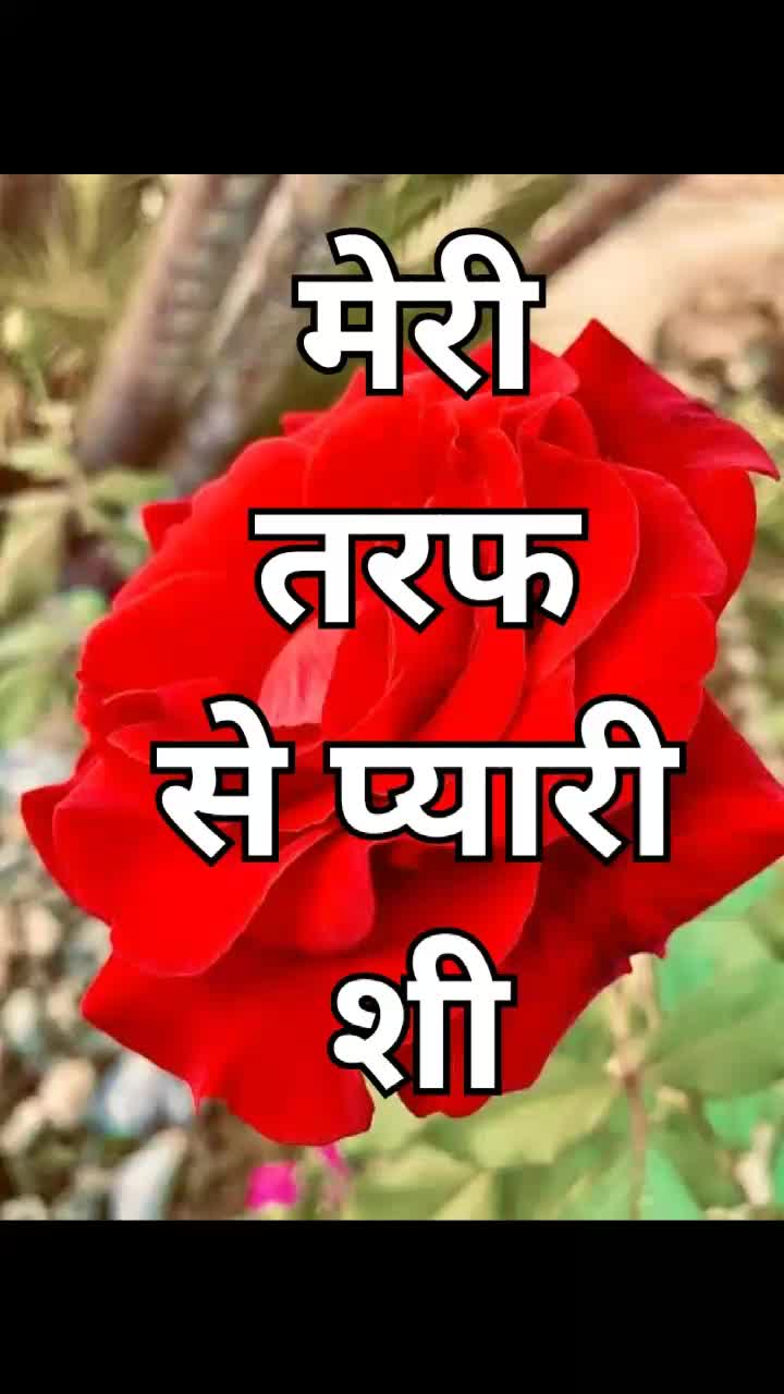 @Mr_Kc_Chandel