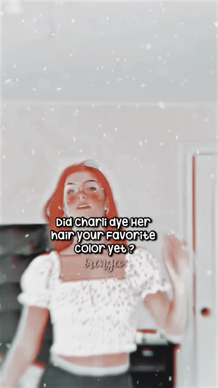 @orengeo || ari