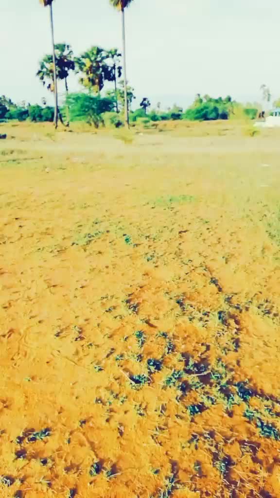 @MaSS KaBaDDi RaMeSh.