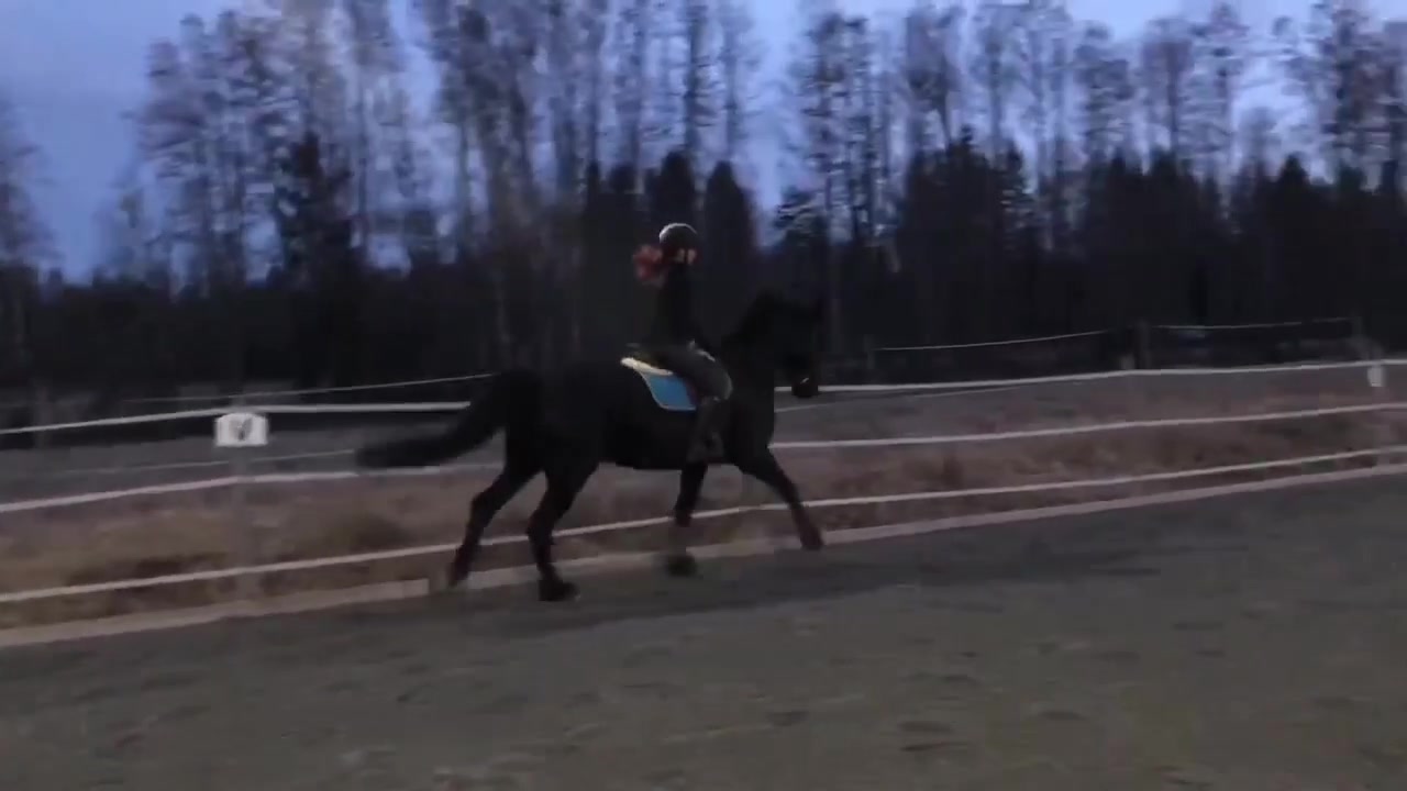 @Horses♡