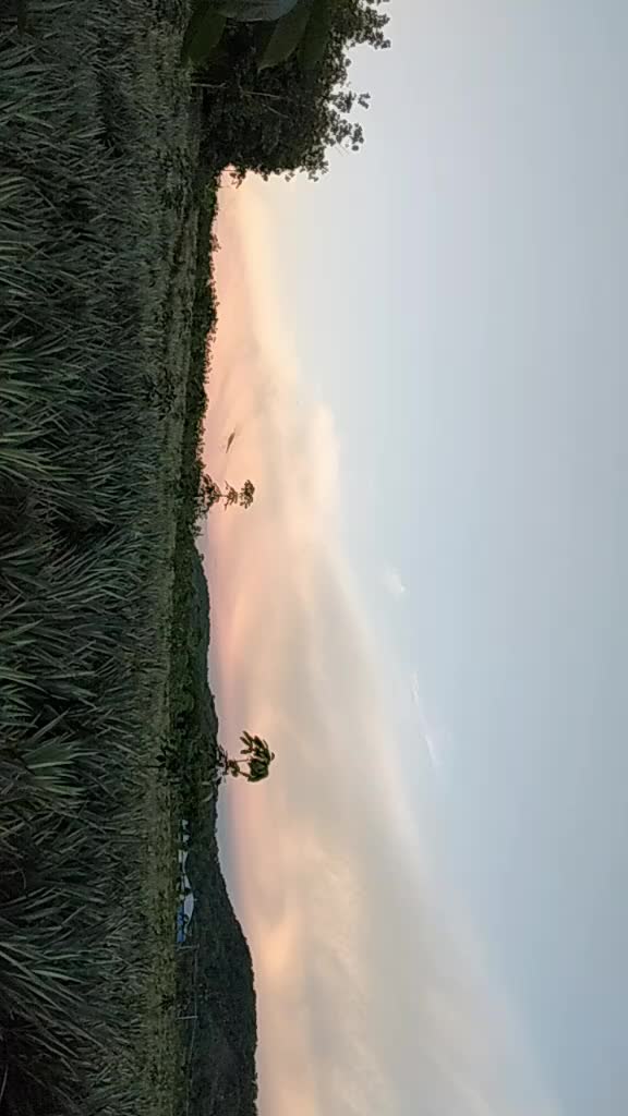 @user2019831926667