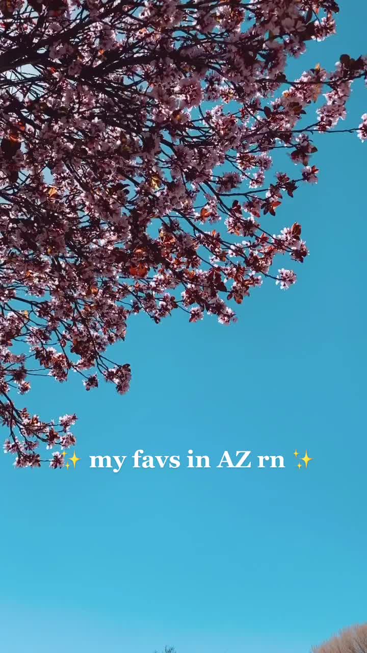 @azsipsters