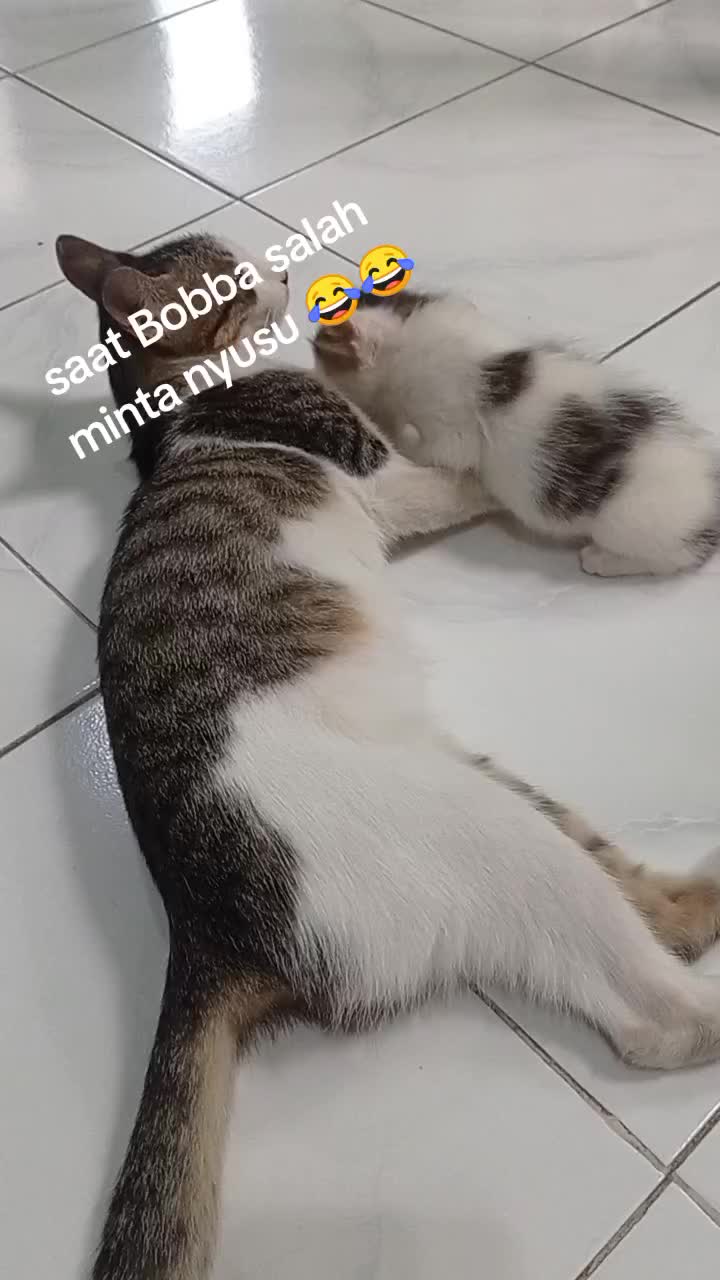 @M. Fajrin
