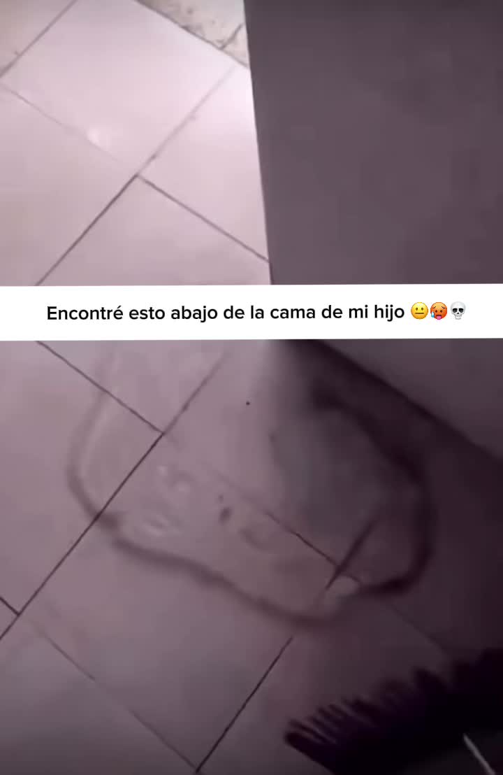 @chichi peralta