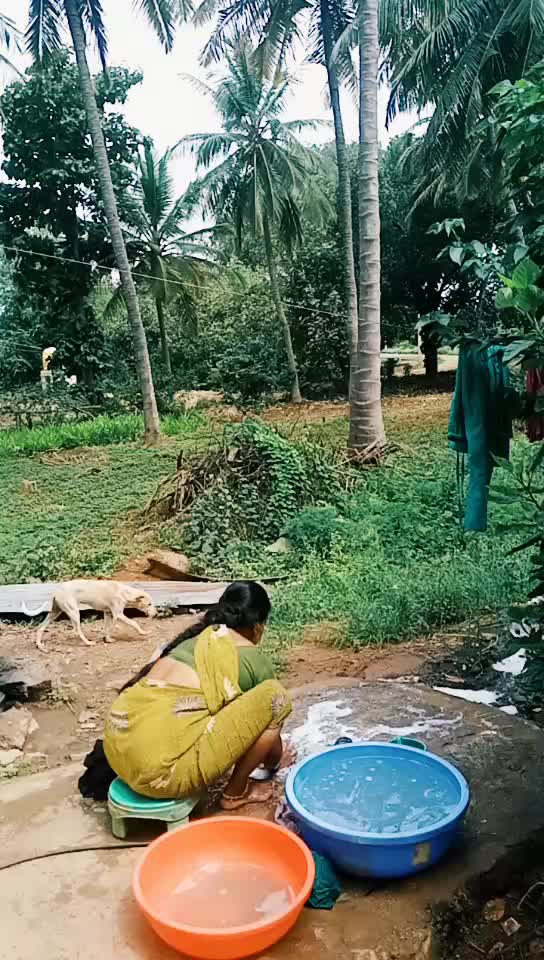 @user4079895800974