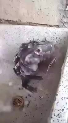 @user28491353699