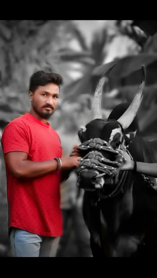 @ಚನ್ನಳ್ಳಿ ಗಣೇಶ್... 🤫