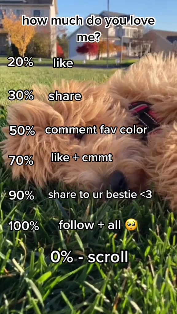 @indie.doodle