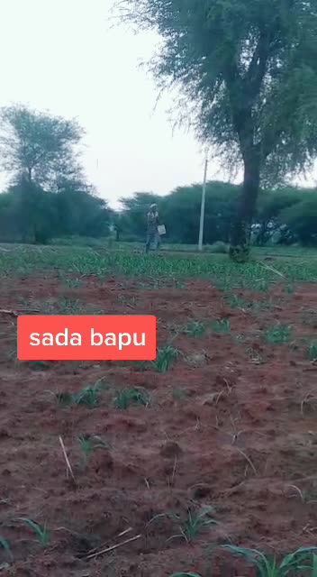@dadri aala baba 1211