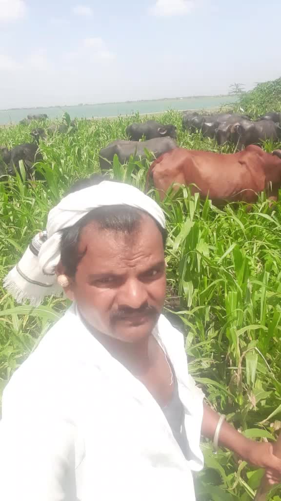 @દેપાલ ભાઇ વાલા