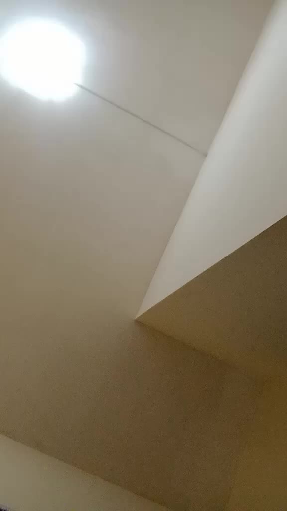 @Maria Di Sciorno561