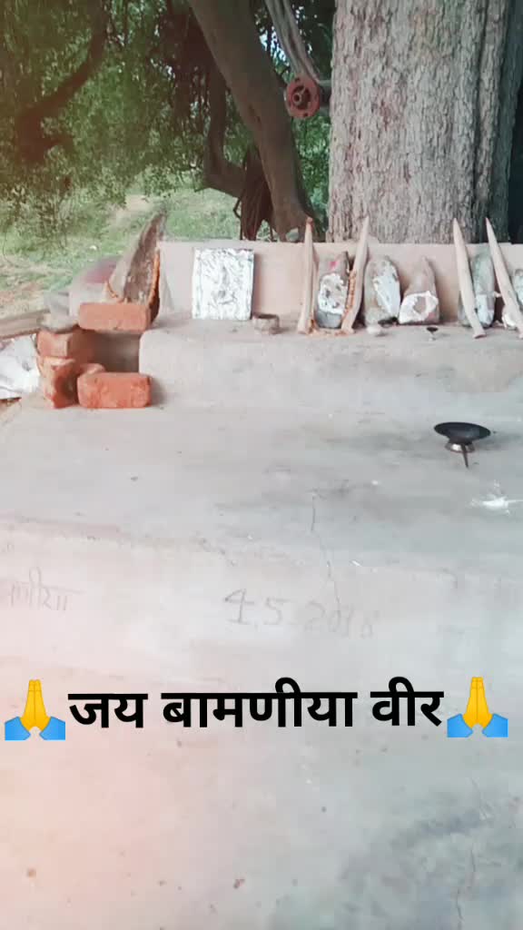 @ashishkumar
