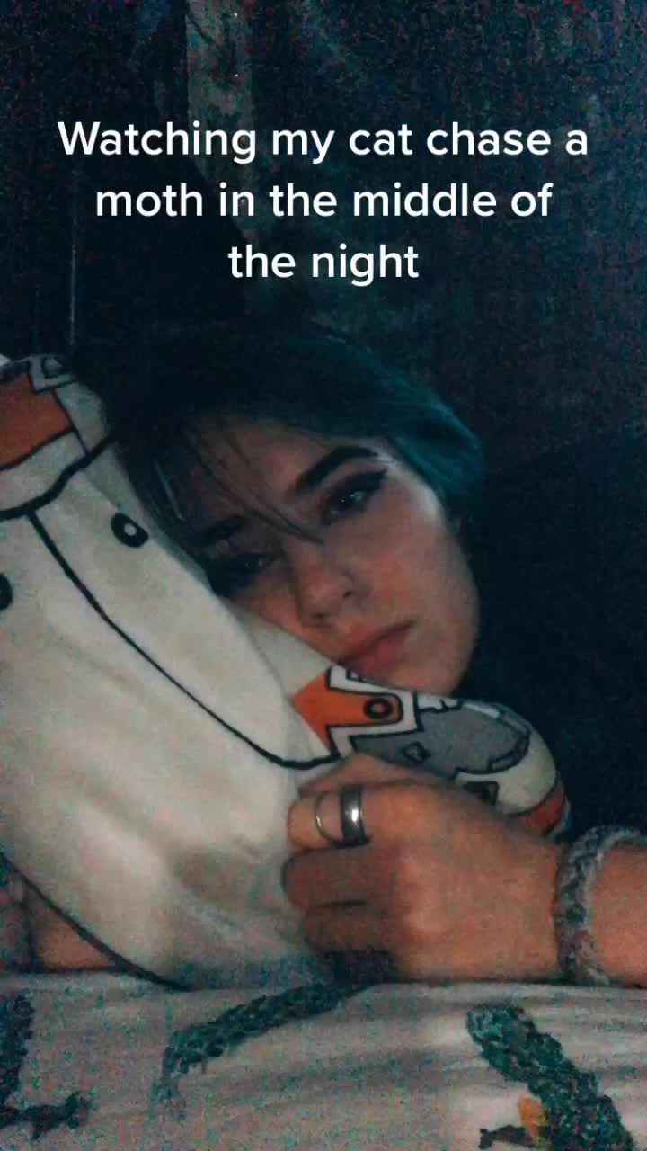 @TheBan1sh3d