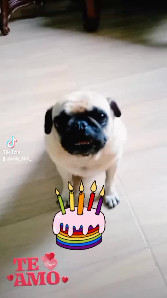 @quakitty❤