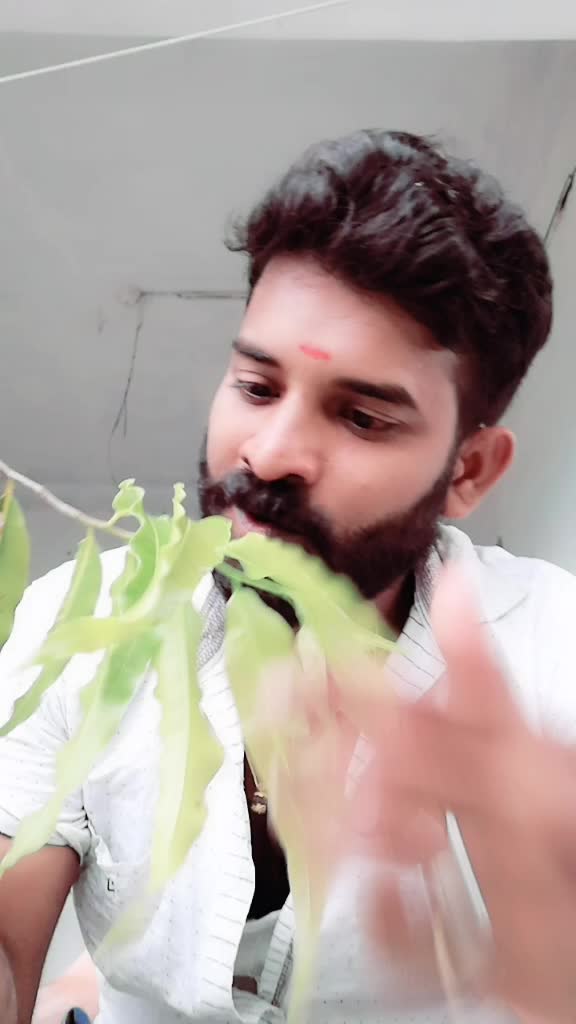 @AGN Fan of KGF