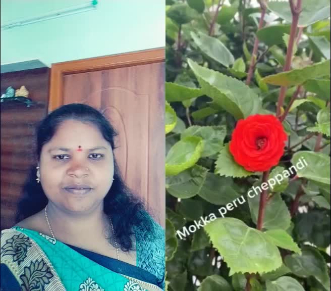 @Subbu Venkatesh