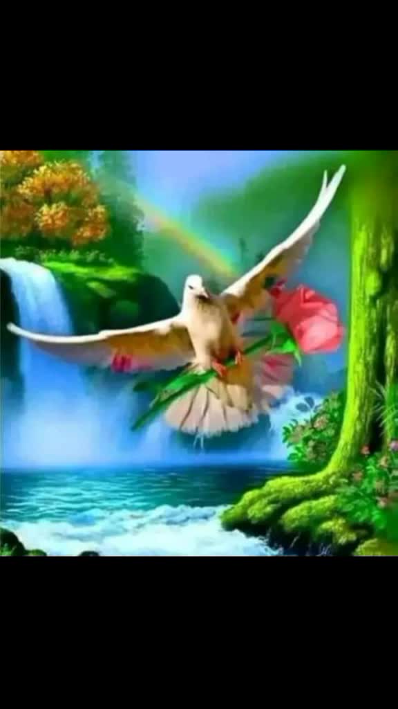 @user8969225726950