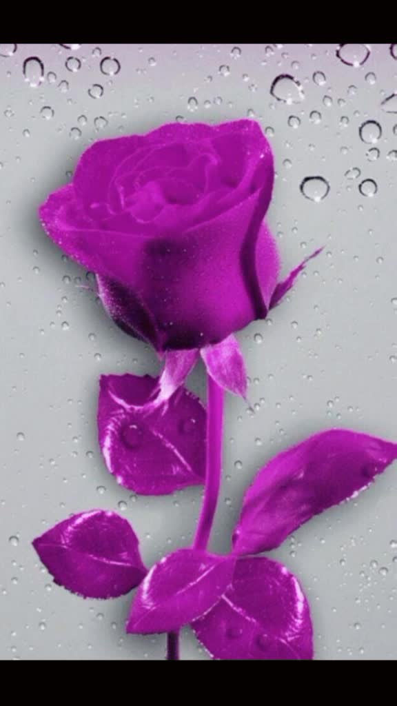 @Laxmipriya Sahoo