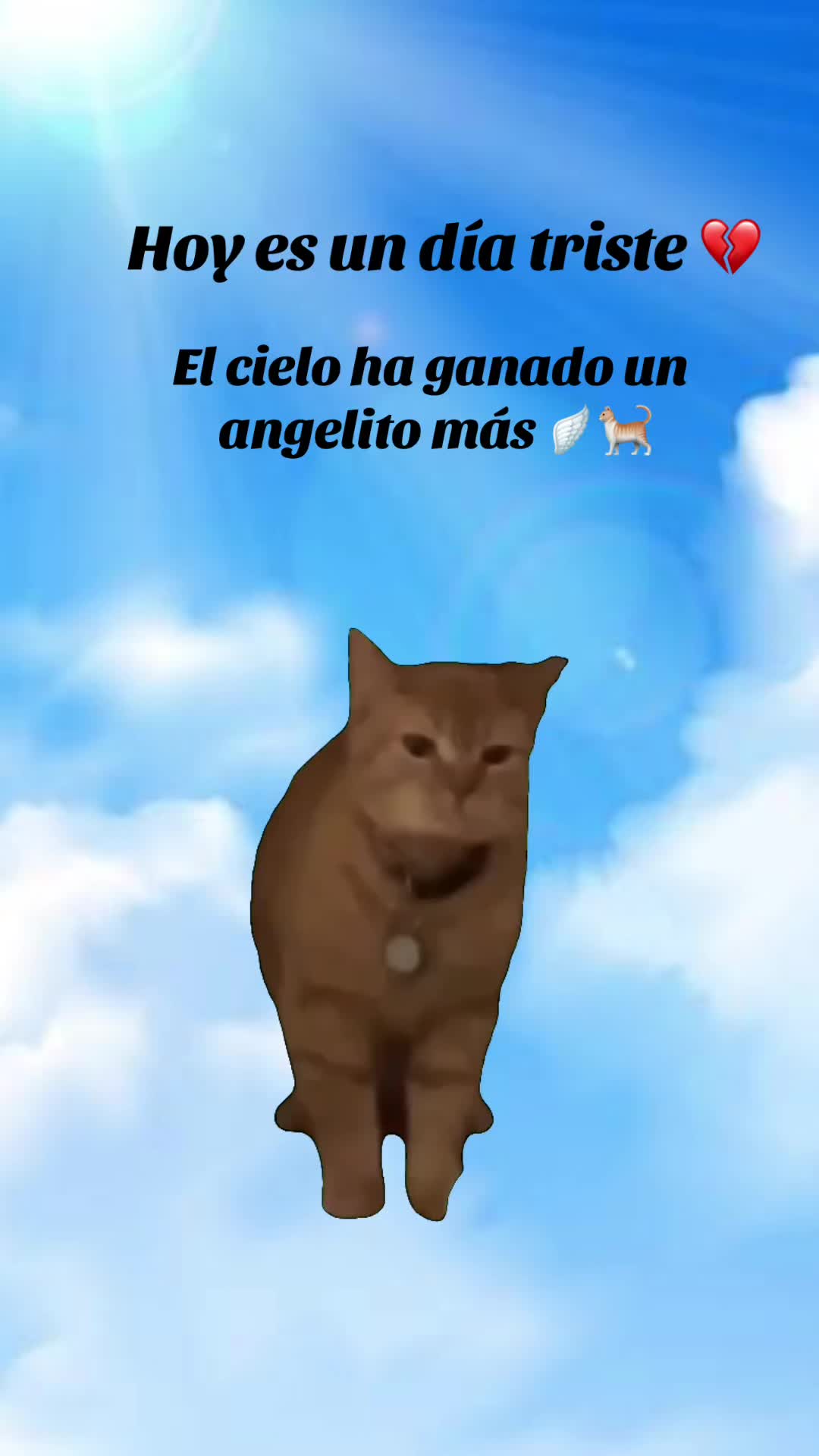 @El Michii