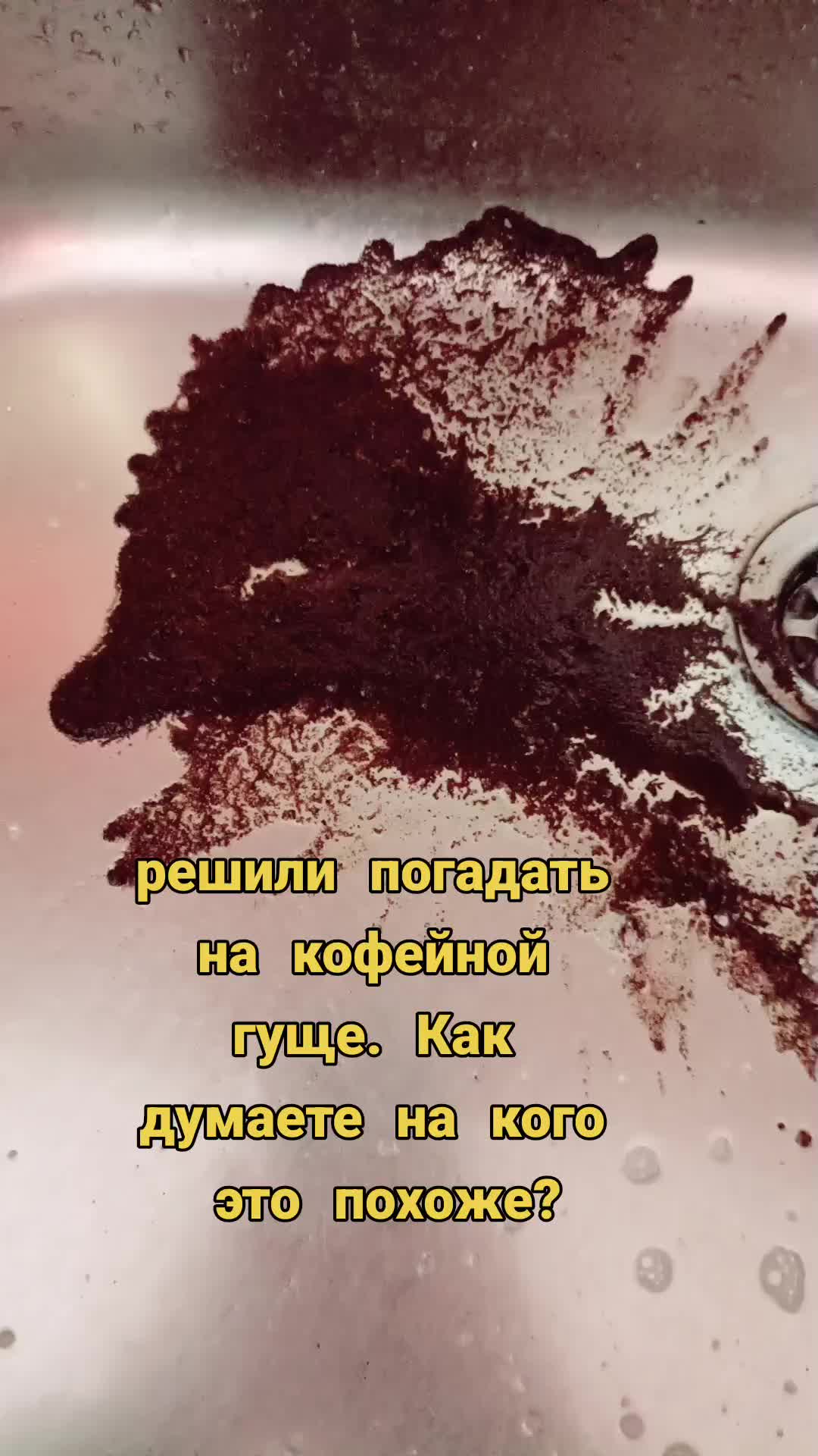 @ɗᥱᥴ᧐rᥲᴛi᧐ᥒ