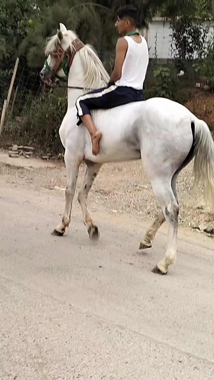 @حميد محمودي.