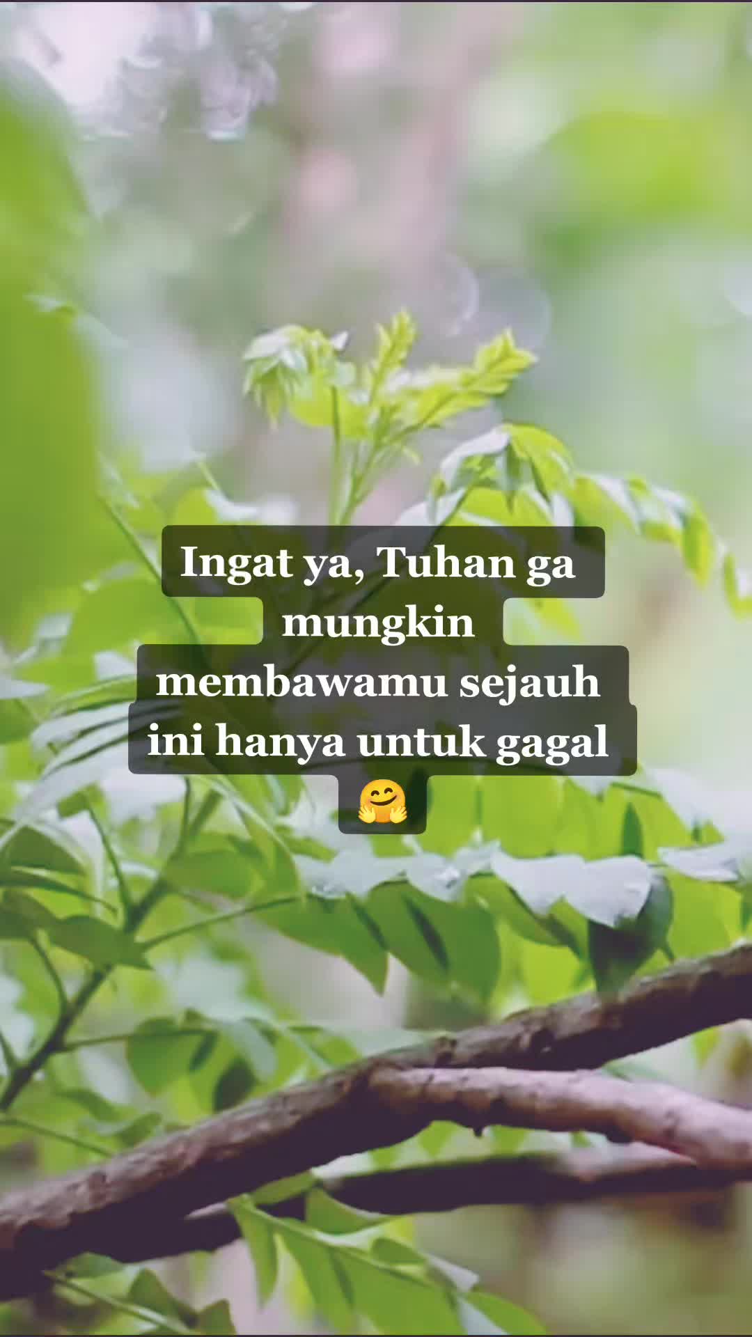 @CincinWanita