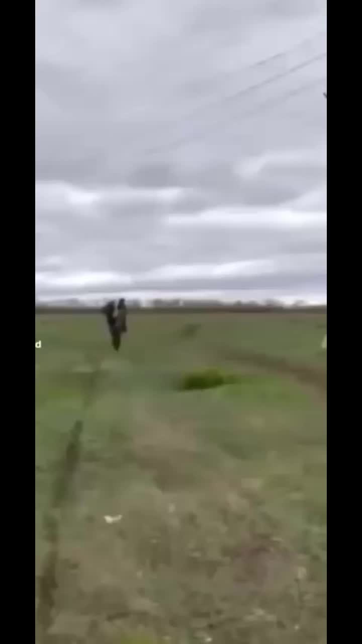 @Dino Raptor ec