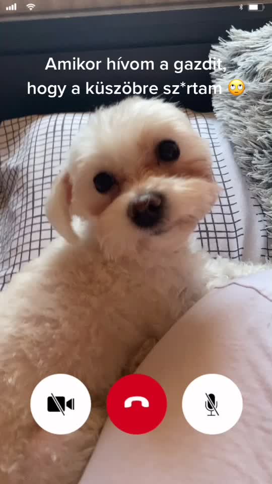 @Liza