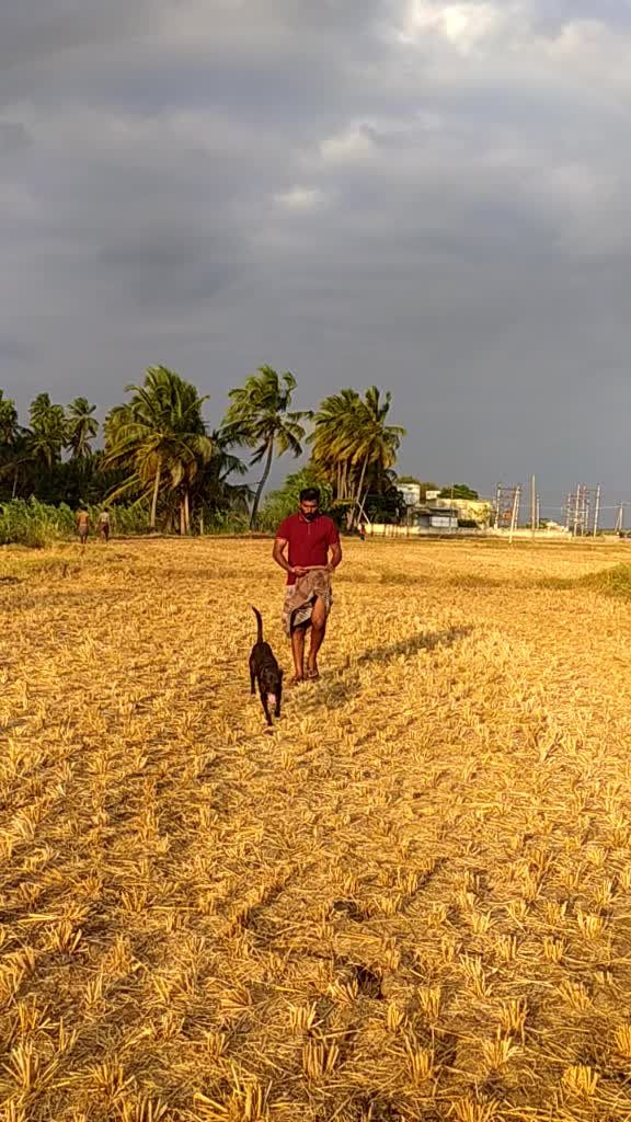 @தேனியின் நண்பன்