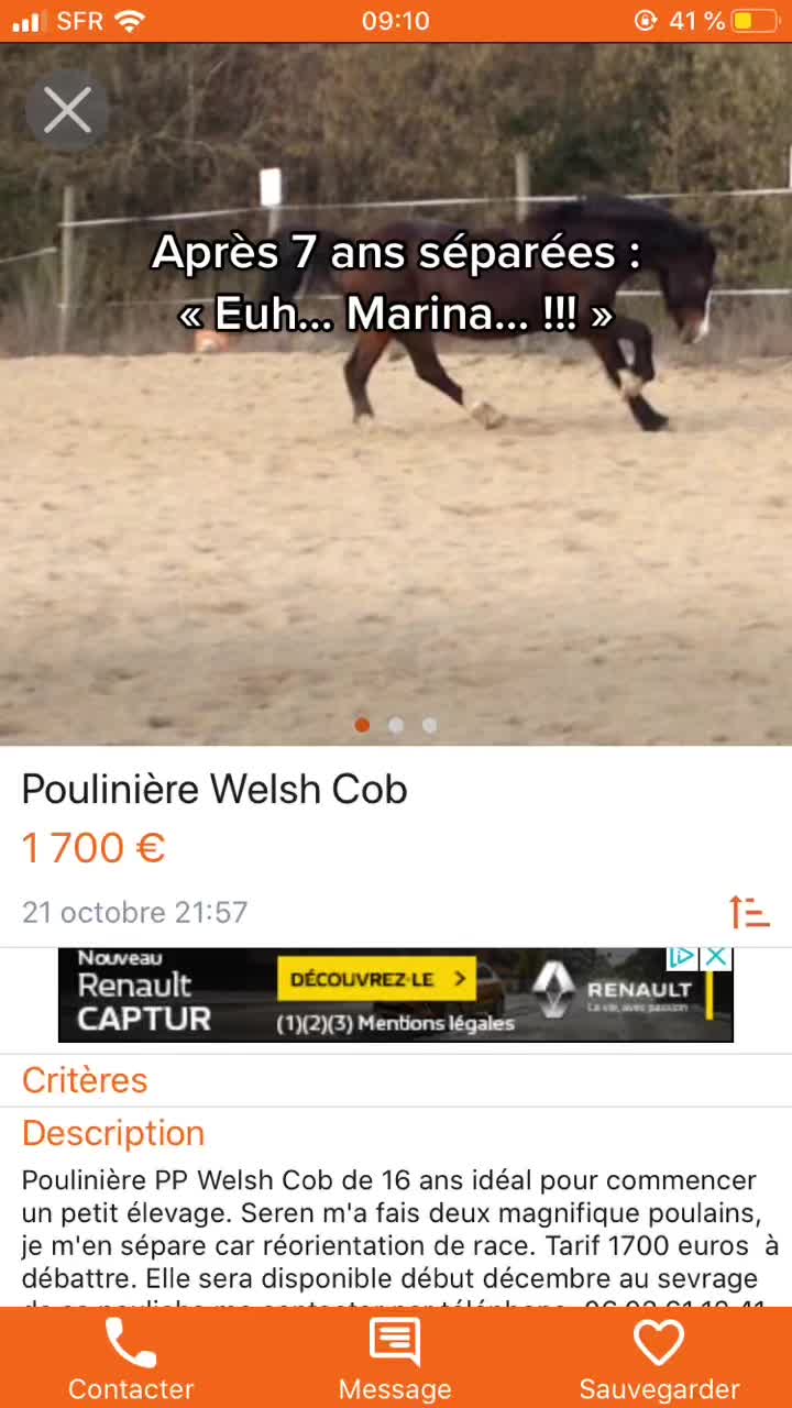 @Seren the pony 🐴