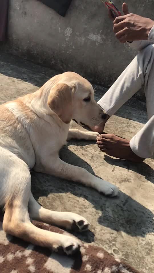 @Pranav Kumar