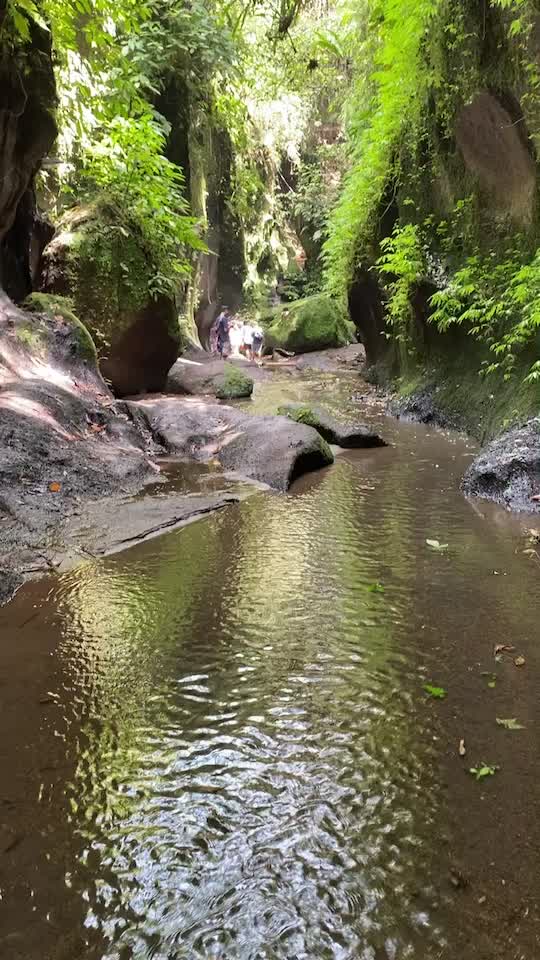 @Deepika Basavraj