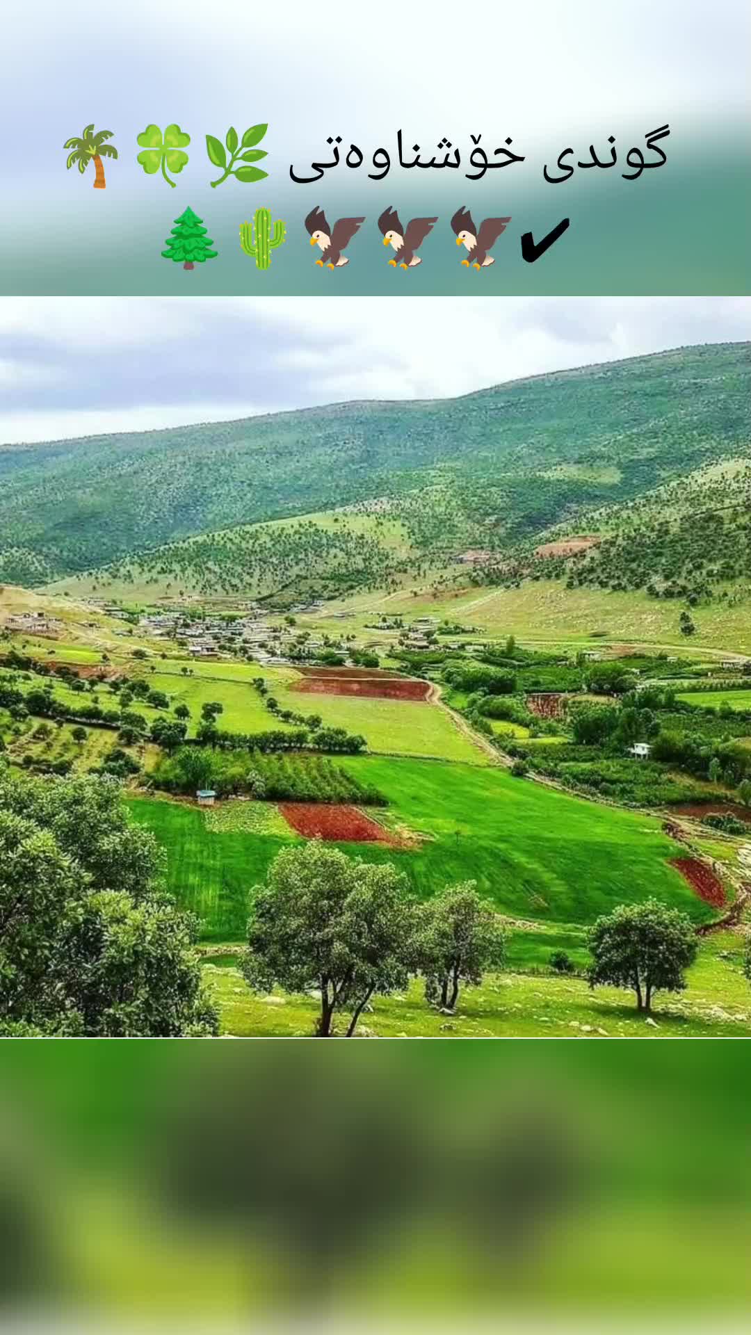 @🦁دانا خۆشناو🦅