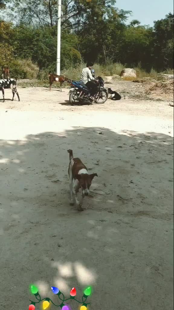 @prabhudev