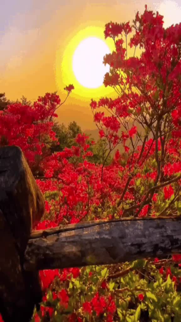@user74058571101